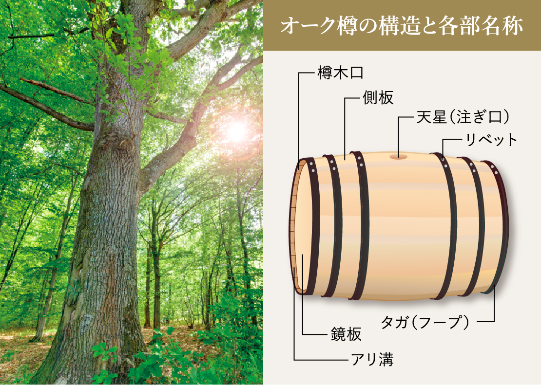 ウイスキー熟成に使われるのと同じオーク樽